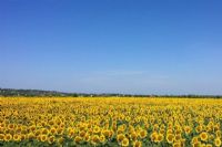 Le temps est bon, le ciel est bleu…